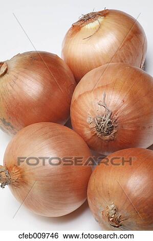 Onions View Large Photo Image Stock Photograph - Onions. Fotosearch