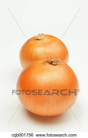 Stock Photograph - Onions. Fotosearch
