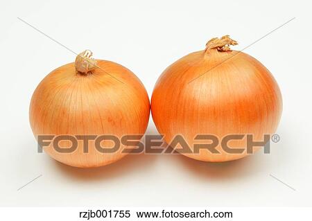 Onions View Large Photo Image Stock Photography - Onions. Fotosearch