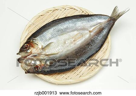 Stock Image - Pacific Herring. Fotosearch