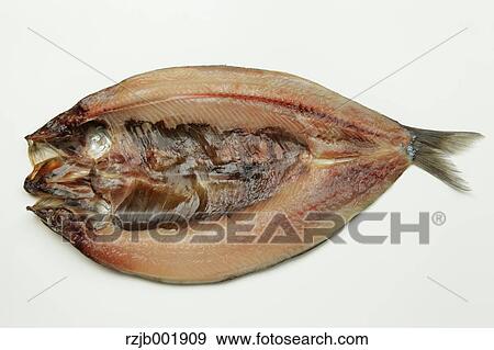 Pacific Herring View Large Photo Image Stock Photo - Pacific Herring. Fotosearch