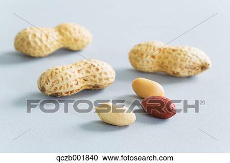 Peanuts View Large Photo Image Stock Image - Peanuts. Fotosearch