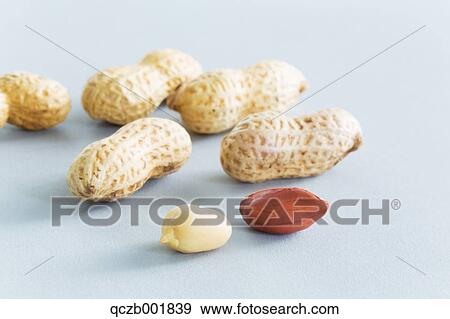 Peanuts View Large Photo Image Stock Photo - Peanuts. Fotosearch