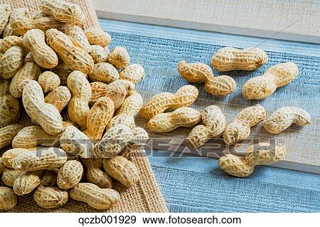 Peanuts View Large Photo Image Stock Photo - Peanuts. Fotosearch