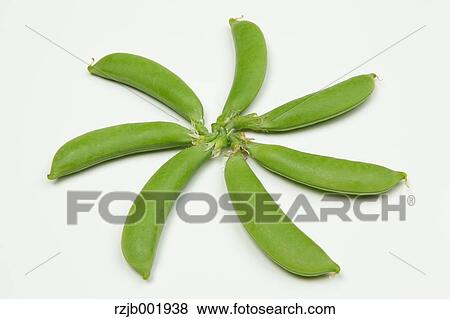 Stock Photo - Peas. Fotosearch