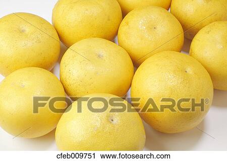 Stock Image - Pomelo fruits. Fotosearch