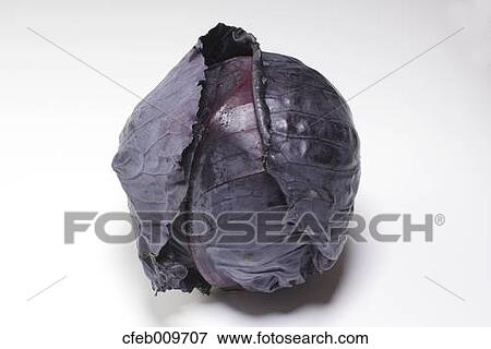 Purple cabbage View Large Photo Image Stock Photo - Purple cabbage. Fotosearch
