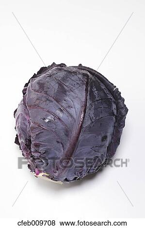 Purple cabbage View Large Photo Image Stock Photo - Purple cabbage. Fotosearch