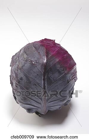 Purple cabbage View Large Photo Image Stock Photo - Purple cabbage. Fotosearch