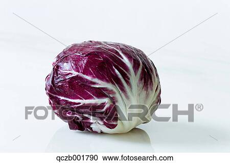 Radicchio Treviso View Large Photo Image Stock Image - Radicchio Treviso. Fotosearch