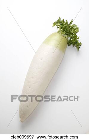 Stock Photo - Radish. Fotosearch