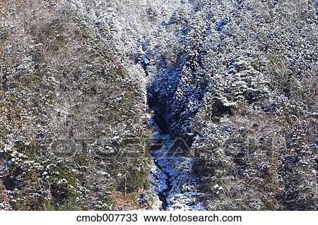 Rennyo Waterfall, Kyoto, Japan View Large Photo Image Stock Image - Rennyo Waterfall, Kyoto, Japan. Fotosearch