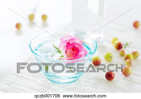 Rose and fruits in water glasses View Large Photo Image Stock Photograph - Rose and fruits in water glasses. Fotosearch