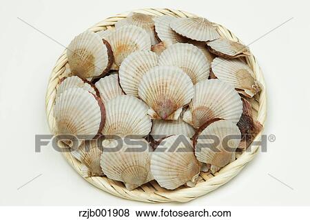 Scallops View Large Photo Image Stock Photo - Scallops. Fotosearch