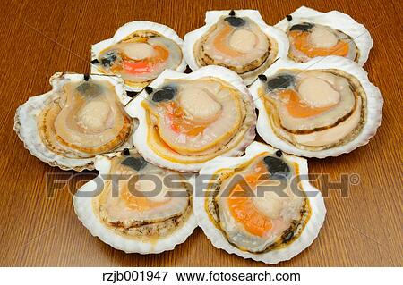 Scallops View Large Photo Image Stock Photo - Scallops. Fotosearch