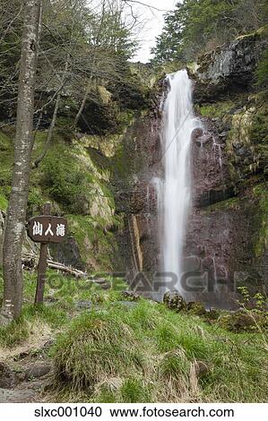 Sennin Waterfall, Gifu Prefecture, Japan View Large Photo Image Stock Image - Sennin Waterfall, Gifu Prefecture, Japan. Fotosearch