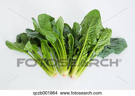 Spinach View Large Photo Image Picture - Spinach. Fotosearch