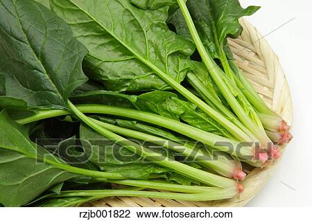Spinach View Large Photo Image Stock Image - Spinach. Fotosearch