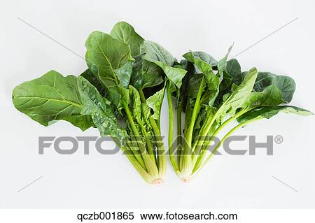 Spinach View Large Photo Image Stock Photography - Spinach. Fotosearch