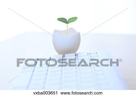 Sprouting leaf and keyboard View Large Photo Image Stock Image - Sprouting leaf and keyboard. Fotosearch