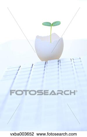 Sprouting leaf and keyboard View Large Photo Image Stock Image - Sprouting leaf and keyboard. Fotosearch