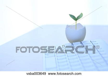 Stock Photo - Sprouting leaf and keyboard. Fotosearch