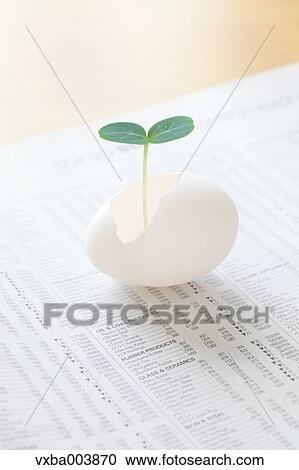 Sprouting leaf and newspaper View Large Photo Image Stock Image - Sprouting leaf and newspaper. Fotosearch