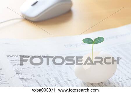 Sprouting leaf and newspaper View Large Photo Image Stock Image - Sprouting leaf and newspaper. Fotosearch