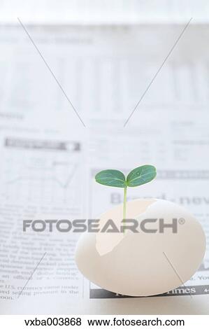 Sprouting leaf and newspaper View Large Photo Image Stock Photo - Sprouting leaf and newspaper. Fotosearch