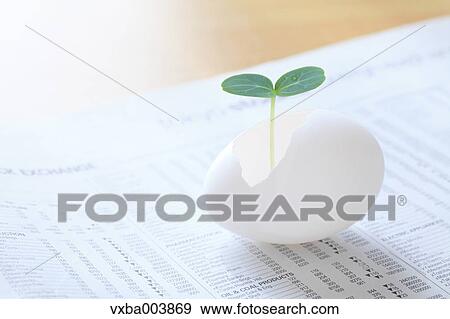 Sprouting leaf and newspaper View Large Photo Image Stock Photo - Sprouting leaf and newspaper. Fotosearch