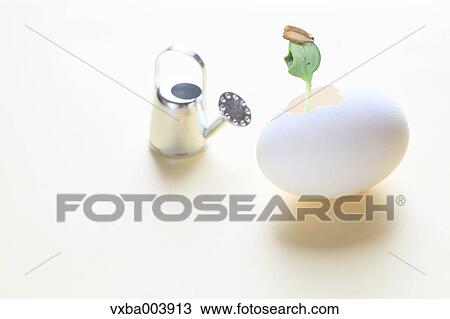Stock Image - Sprouting leaf and watering can. Fotosearch