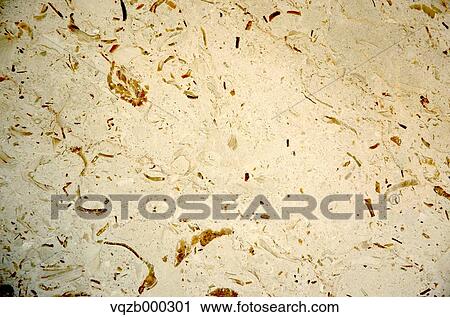 Stock Image - Stone wall. Fotosearch