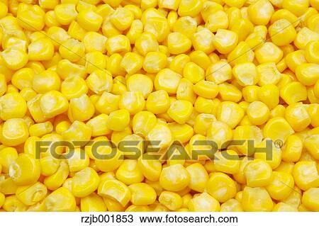 Stock Image - Sweet Corn. Fotosearch