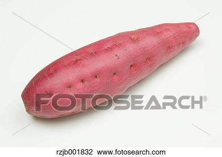 Sweet Potato View Large Photo Image Stock Image - Sweet Potato. Fotosearch