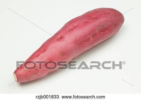Sweet Potato View Large Photo Image Stock Image - Sweet Potato. Fotosearch