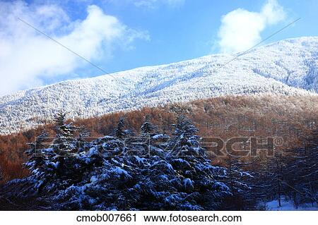 Takamine Plateau, Gunma Prefecture, Japan View Large Photo Image Stock Image - Takamine Plateau, Gunma Prefecture, Japan. Fotosearch