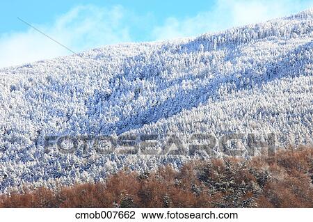 Takamine Plateau, Gunma Prefecture, Japan View Large Photo Image Stock Image - Takamine Plateau, Gunma Prefecture, Japan. Fotosearch