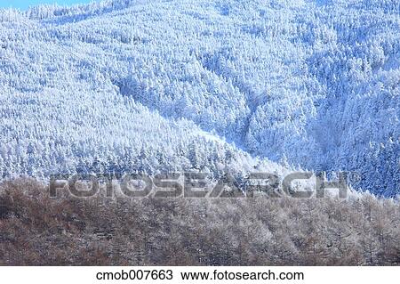 Takamine Plateau, Gunma Prefecture, Japan View Large Photo Image Stock Image - Takamine Plateau, Gunma Prefecture, Japan. Fotosearch