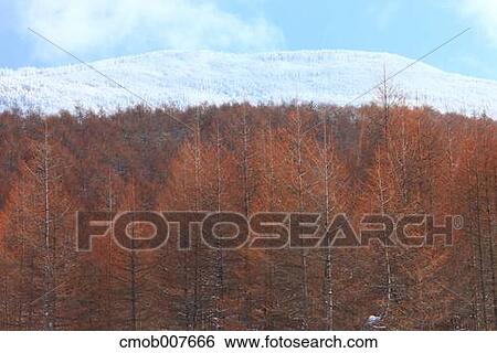 Takamine Plateau, Gunma Prefecture, Japan View Large Photo Image Stock Photograph - Takamine Plateau, Gunma Prefecture, Japan. Fotosearch