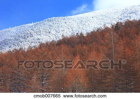 Stock Photography - Takamine Plateau, Gunma Prefecture, Japan. Fotosearch