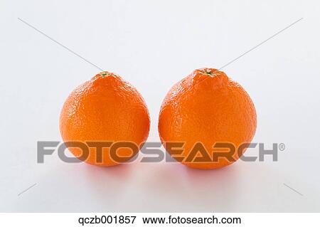 Tangerines View Large Photo Image Stock Photo - Tangerines. Fotosearch