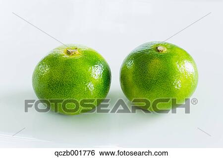 Tangerines View Large Photo Image Stock Photograph - Tangerines. Fotosearch