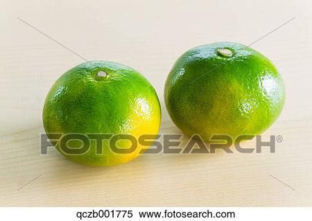 Tangerines View Large Photo Image Stock Photography - Tangerines. Fotosearch