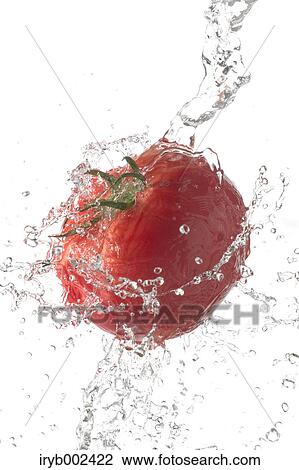 Stock Image - Tomato and water splash. Fotosearch
