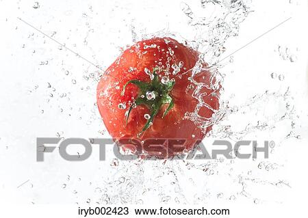 Tomato and water splash View Large Photo Image Stock Image - Tomato and water splash. Fotosearch