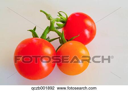 Stock Image - Tomatoes. Fotosearch