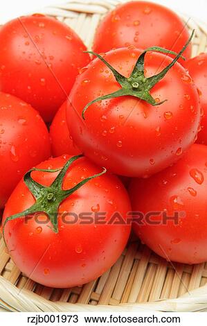 Tomatoes View Large Photo Image Stock Image - Tomatoes. Fotosearch