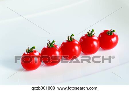 Tomatoes View Large Photo Image Stock Photo - Tomatoes. Fotosearch