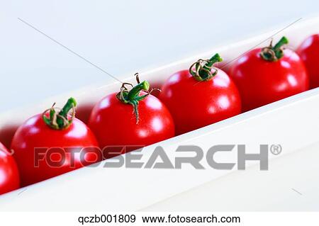 Tomatoes View Large Photo Image Stock Photo - Tomatoes. Fotosearch