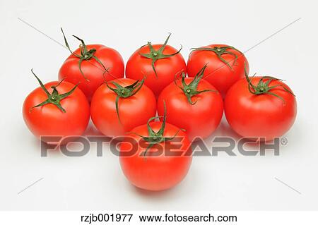 Tomatoes View Large Photo Image Stock Photo - Tomatoes. Fotosearch